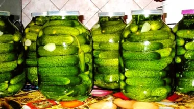 Запорізький секрет: хрумкі солені огірочки, які завоювали серця гурманів!